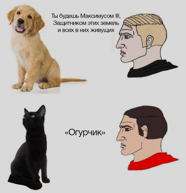 Имена питомцев | Пикабу