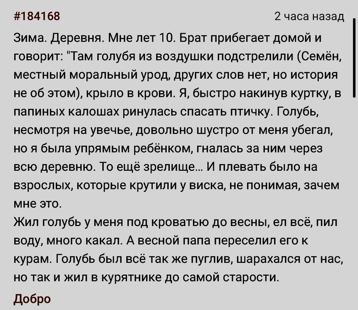 Повезло голубю | Пикабу