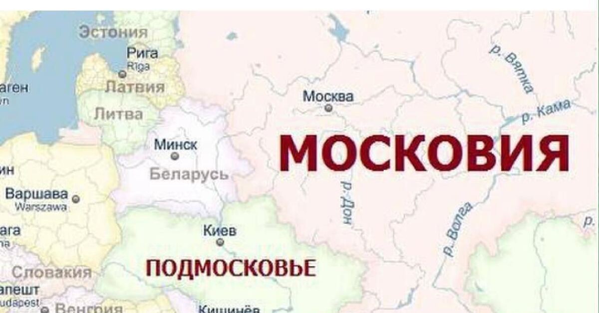 Где карта Вилли? Нам нужна карта! | Пикабу