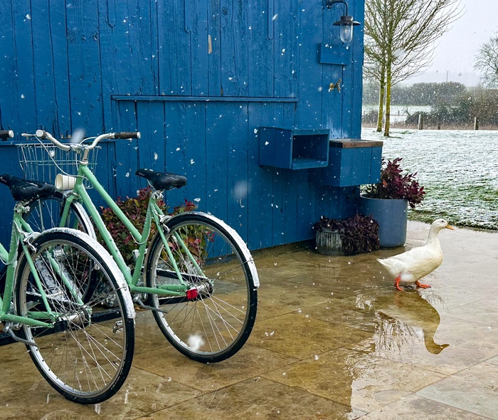 � �������