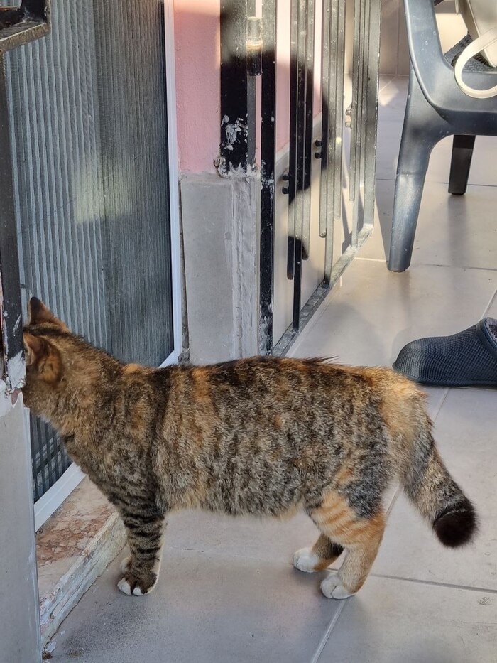 ������ ����� ������ � ����������