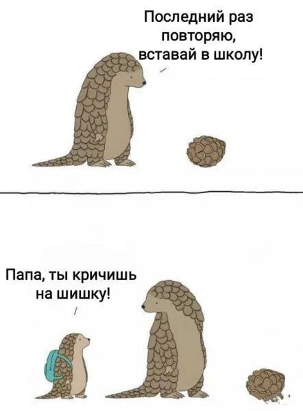 Вставай Юмор, Картинка с текстом, Животные, Пробуждение, Школа, Шишки, Повтор, Lizclimo, Панголин