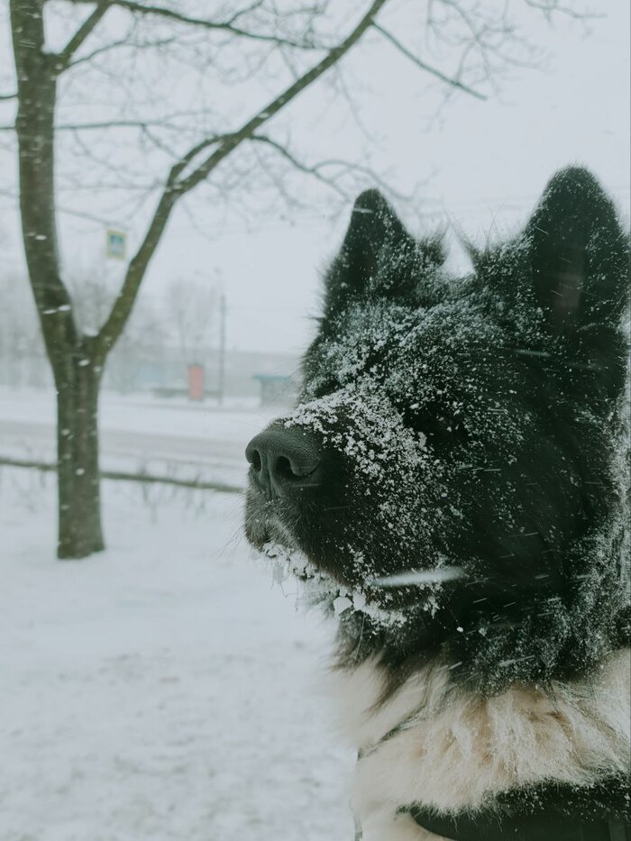 Братец Март, за что ты так с нами?