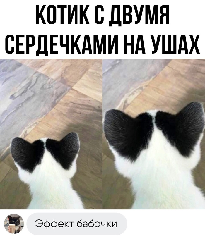      , , , , , 