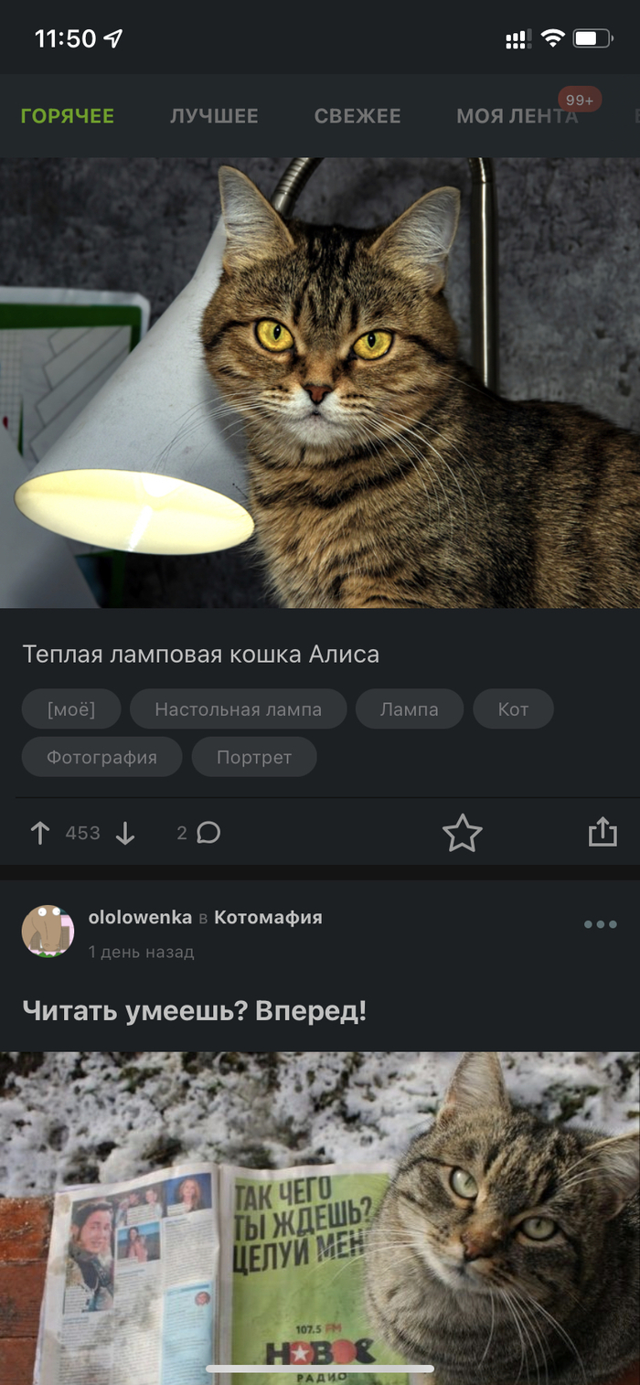 Интересное совпадение постов