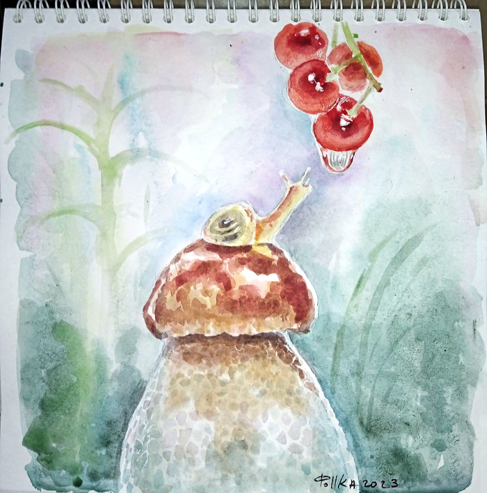 Грибно-улиточное