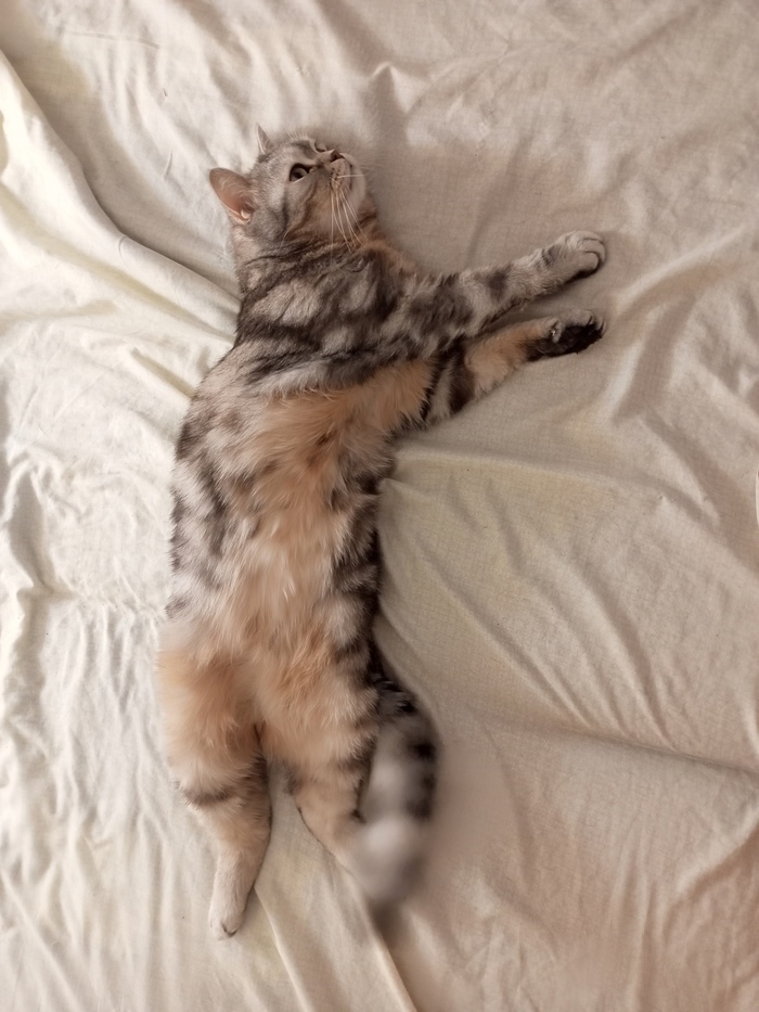  ,    ,  ,   , 