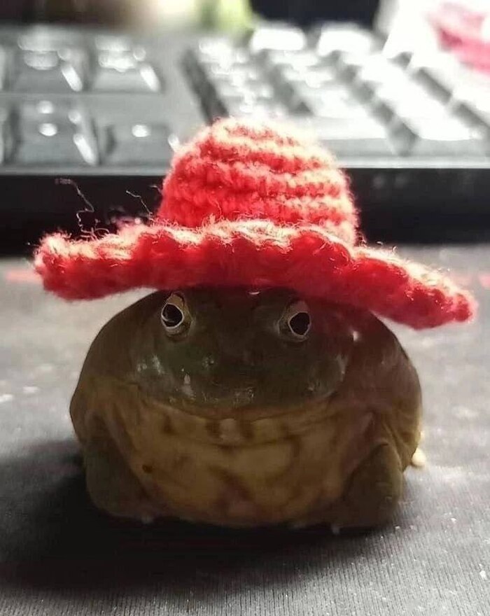 Среда, мои чуваки