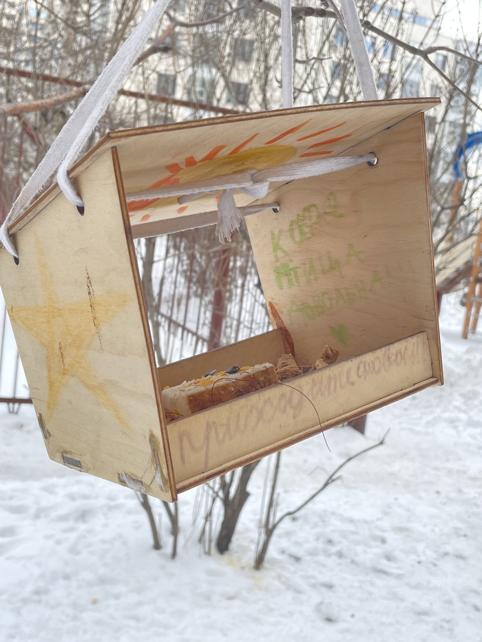 ���� ����� ��������