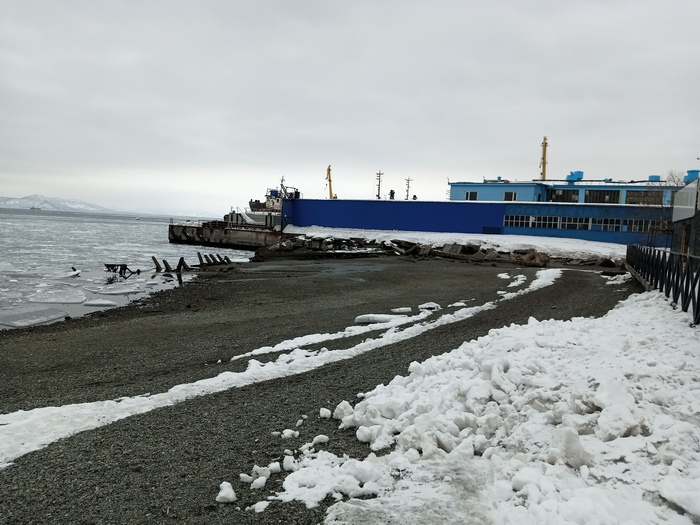 Мега отлив Отлив, Море, Камчатка, Петропавловск-Камчатский, Мидии, Длиннопост