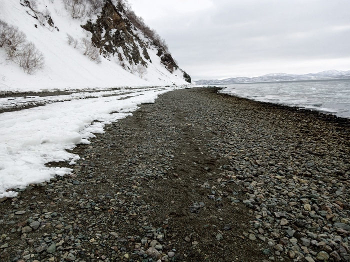 Мега отлив Отлив, Море, Камчатка, Петропавловск-Камчатский, Мидии, Длиннопост