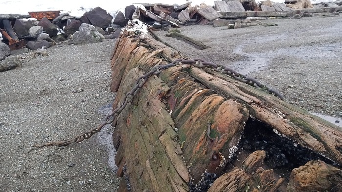 Мега отлив Отлив, Море, Камчатка, Петропавловск-Камчатский, Мидии, Длиннопост