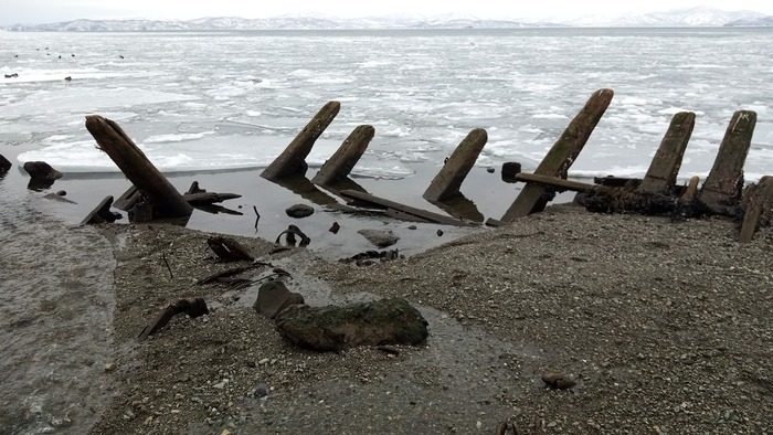 Мега отлив Отлив, Море, Камчатка, Петропавловск-Камчатский, Мидии, Длиннопост
