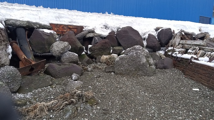 Мега отлив Отлив, Море, Камчатка, Петропавловск-Камчатский, Мидии, Длиннопост