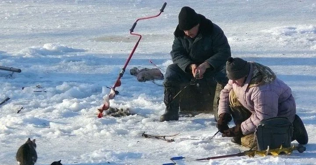 Картинки Про Рыбалку