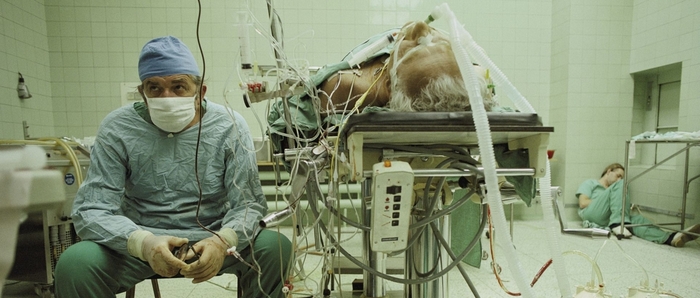 Трансплантация