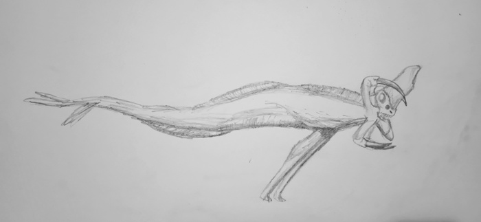 ���� ��������