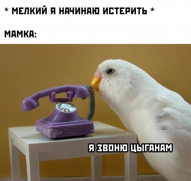 Детство Томми-сиськи