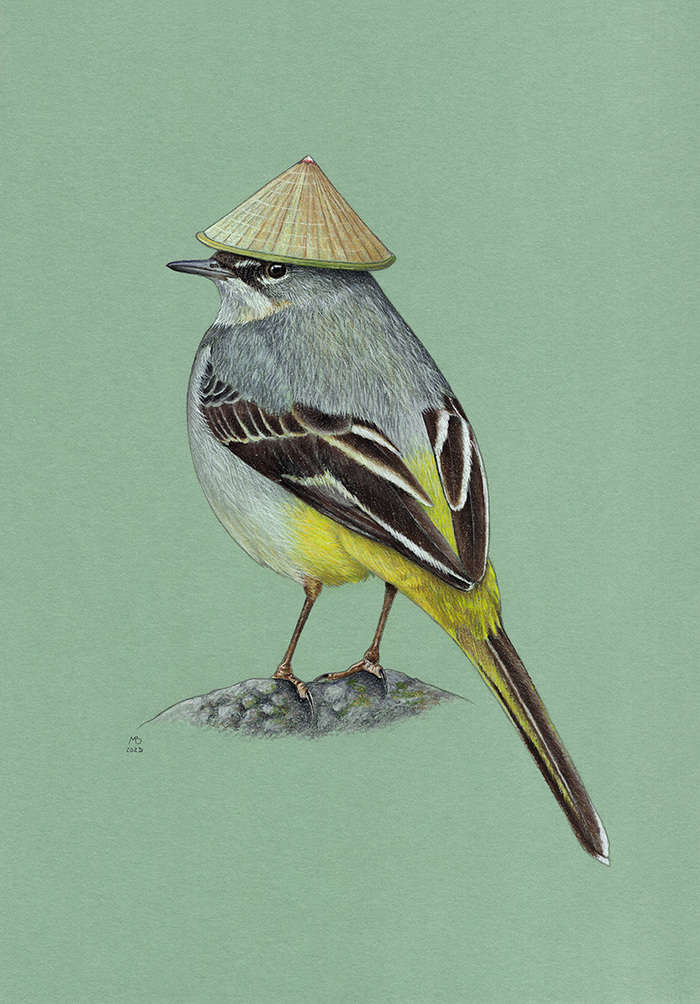 ������ ����������