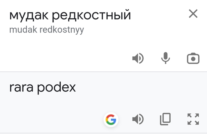 В переводе на латынь | Пикабу