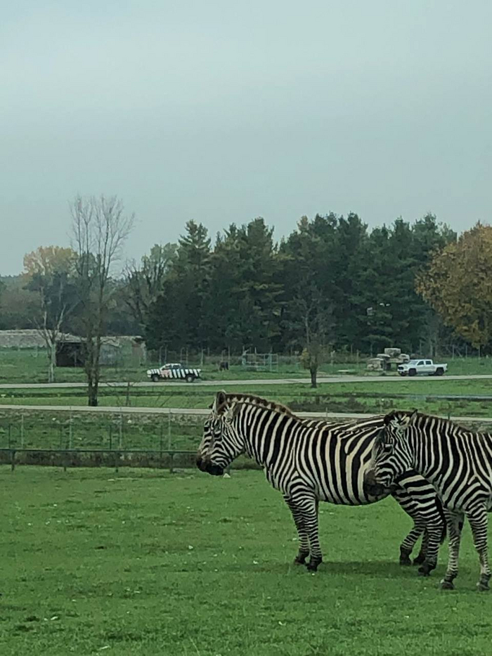 ���� � �������