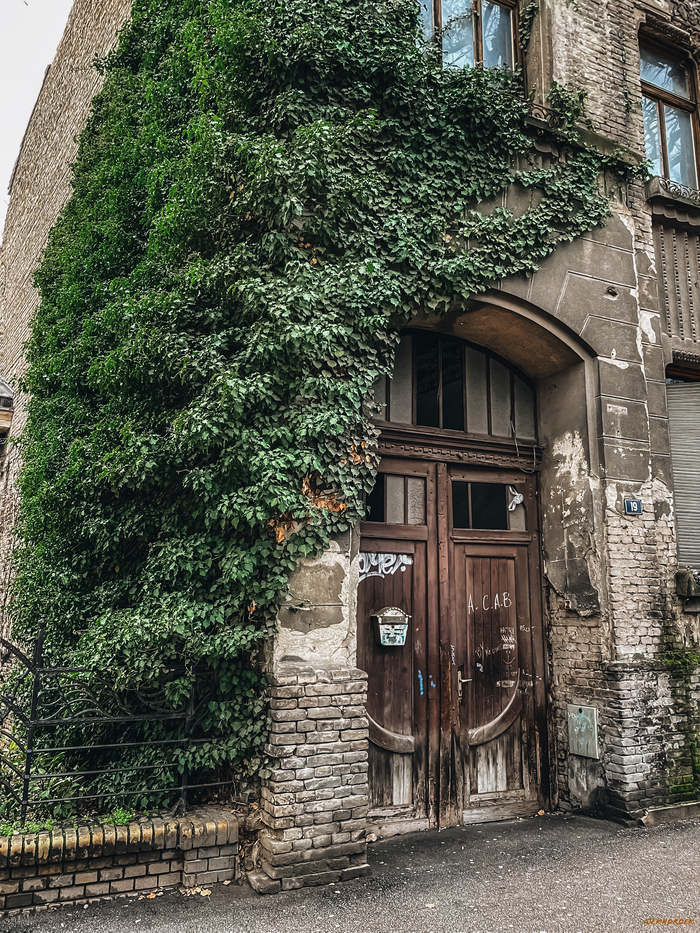 Угол дома заросший вьюнком