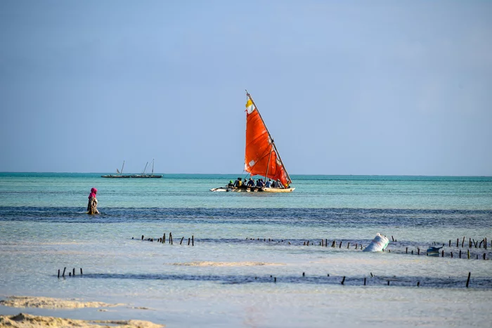 Огороды на Занзибаре Туризм, Путешествия, Огород, Африка, Занзибар, Длиннопост, Фотография