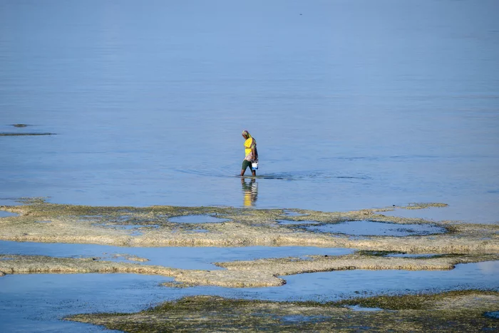 Огороды на Занзибаре Туризм, Путешествия, Огород, Африка, Занзибар, Длиннопост, Фотография