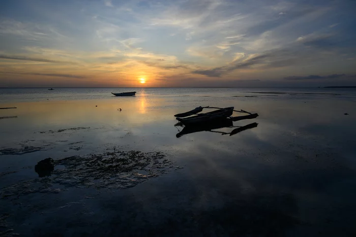 Огороды на Занзибаре Туризм, Путешествия, Огород, Африка, Занзибар, Длиннопост, Фотография