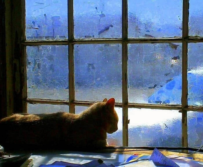   , , , , , 