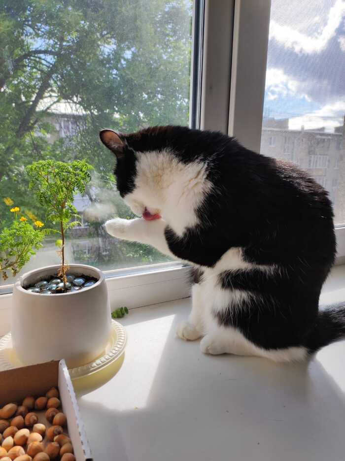 ����� ����� ������...