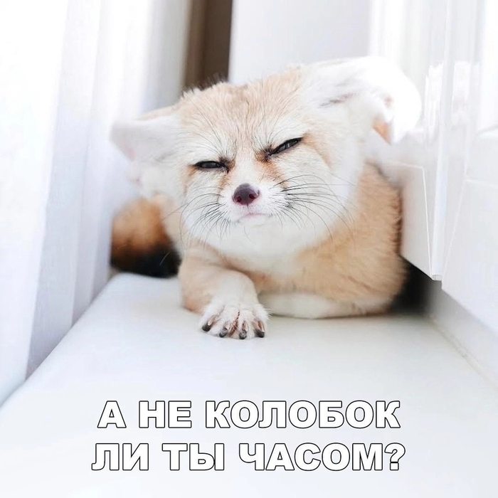 � ���� ����