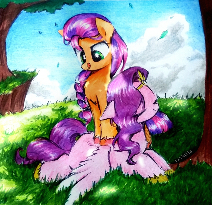  :   ,  37 My Little Pony, MLP_Evening, Sunny Starscout, Pipp Petals