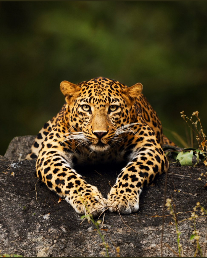 Вас заметили