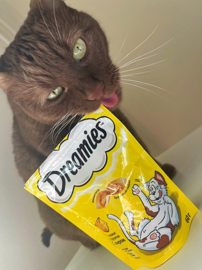 ���� ���������� �� ���������))