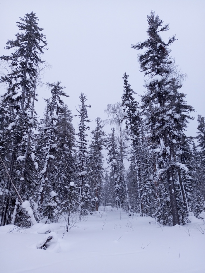 ������ � ��������� �����