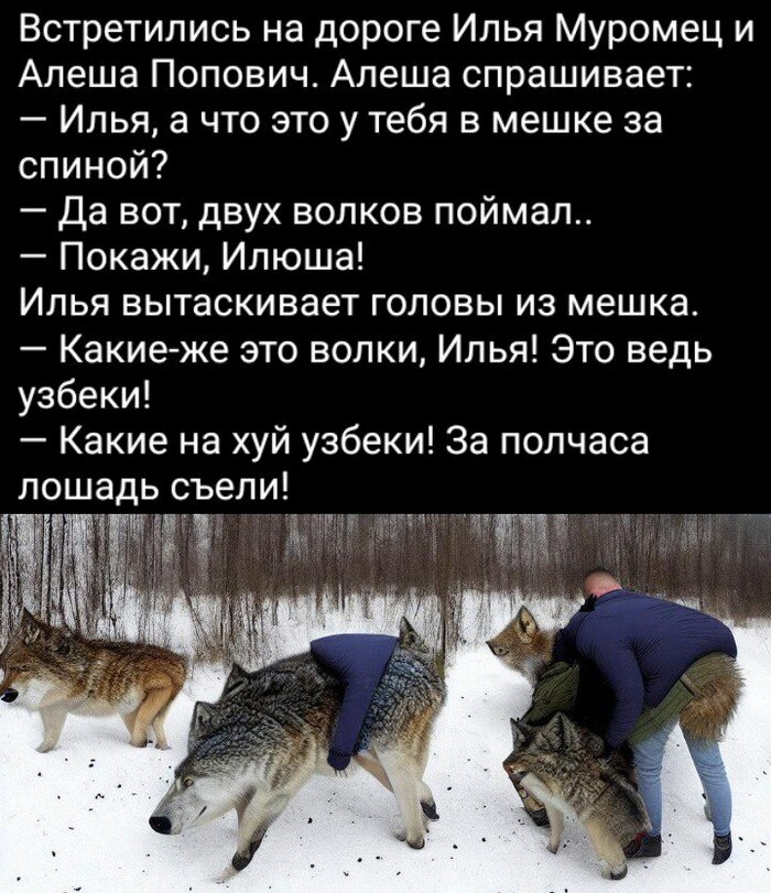 Про богатырей | Пикабу