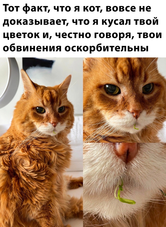  :) , ,  ,   