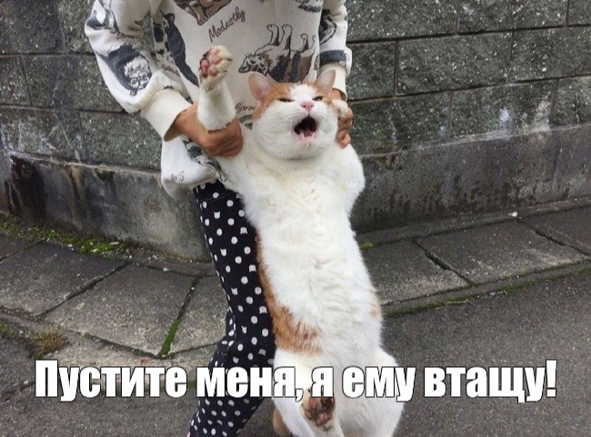      , , , , , 
