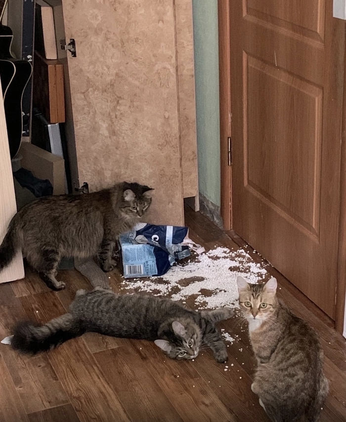 ������ � ������� �� 15 �����, �����������