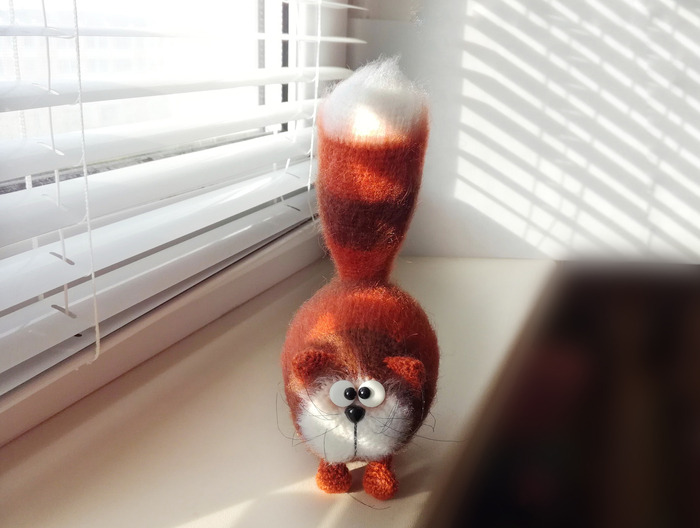 Про одинокого кота | Пикабу