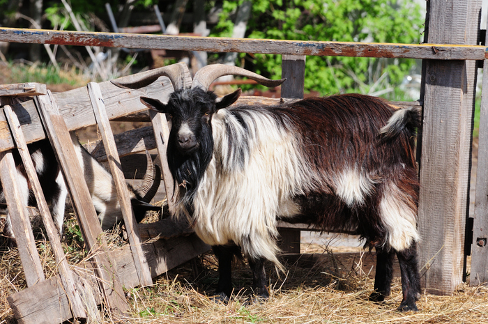 �� ����, � �������!