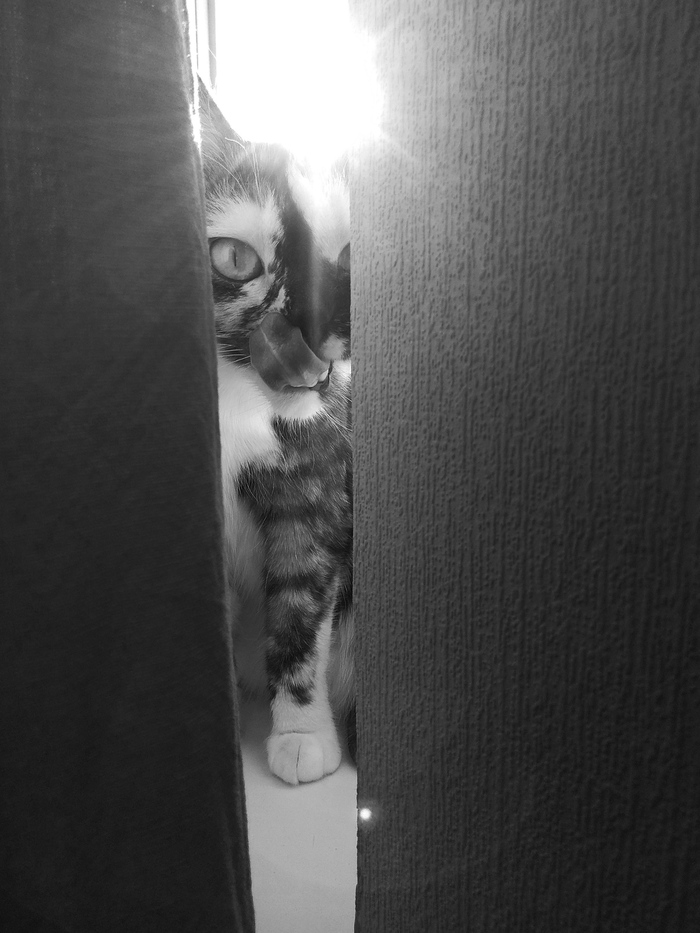 ���� ������������