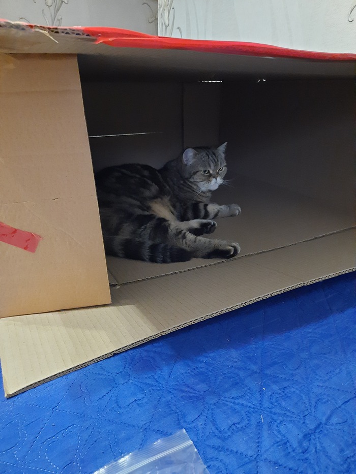 Купили кресло