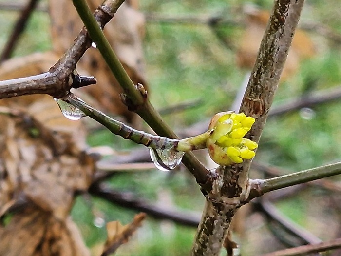 �������� �����