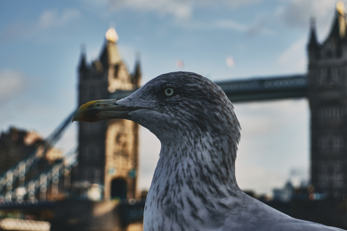 � ���� ���� � ��������...