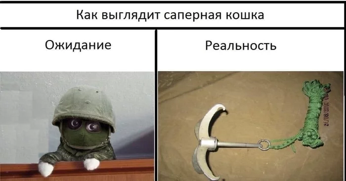 167913587415429528.webp