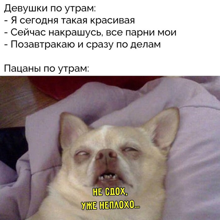 ...   , , , , , 