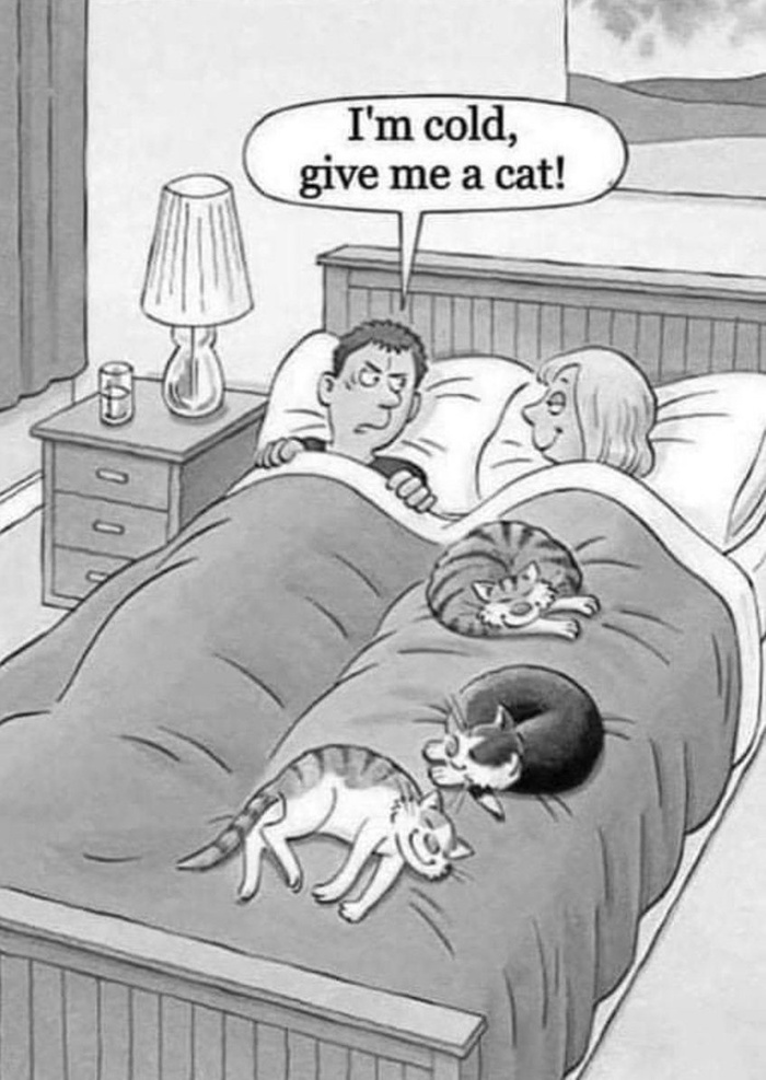 Когда не любишь делиться