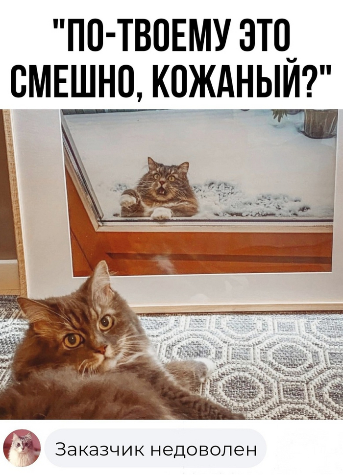 Заказчик недоволен